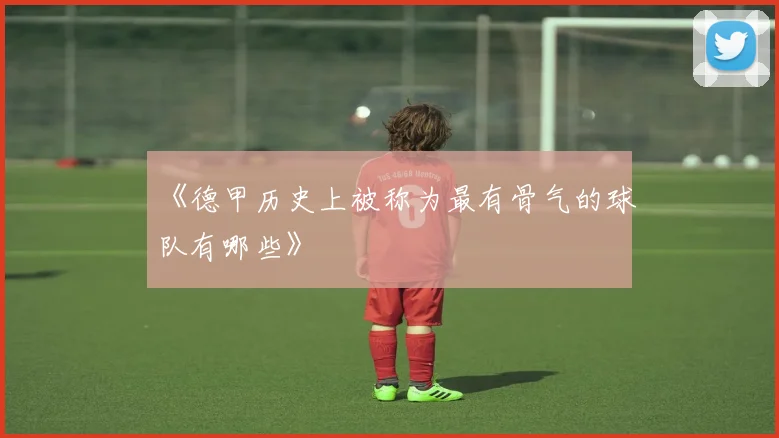 《德甲历史上被称为最有骨气的球队有哪些》