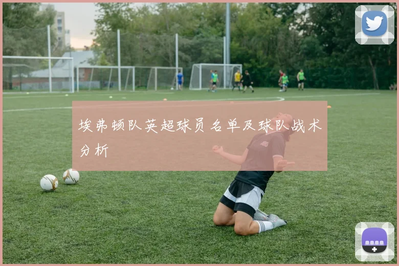 埃弗顿队英超球员名单及球队战术分析