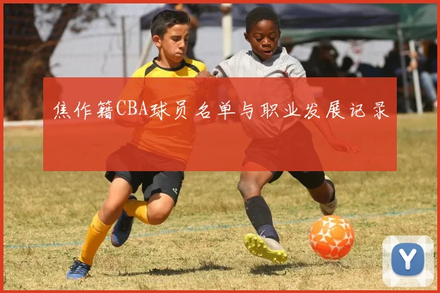 焦作籍CBA球员名单与职业发展记录